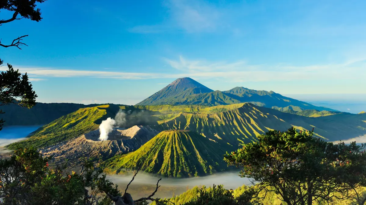 Paket Bromo Private Panorama